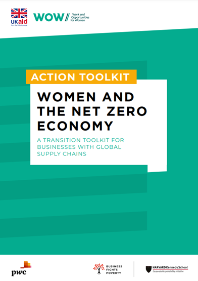 a screenshot of the cover page of the resource showing the title, and the logos of work and opportunities for women, ukaid, pricewaterhousecoopers, business fights poverty and havard kennedy school. 
