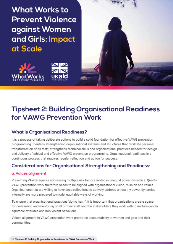 Screenshot showing the first page of the resource, including the title, What works and Ukaid logos and a photo of a person looking into distance.