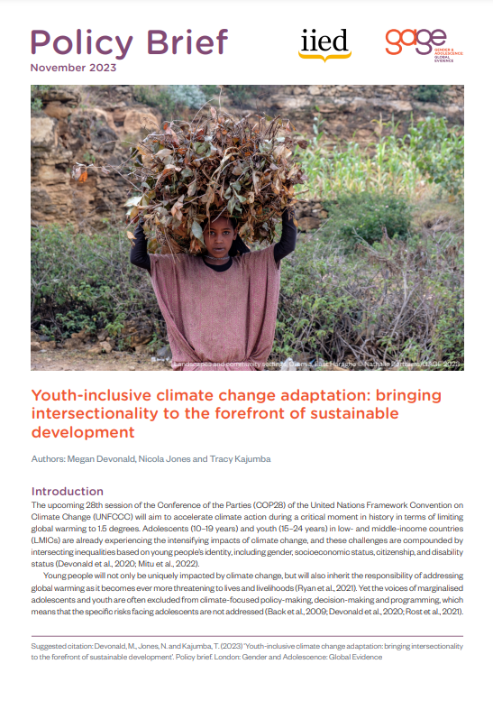 a screenshot of the first page of the resource, showing a photo of a child carrying a large bundle of sticks and leaves on their head, the title and publishers’ logos.