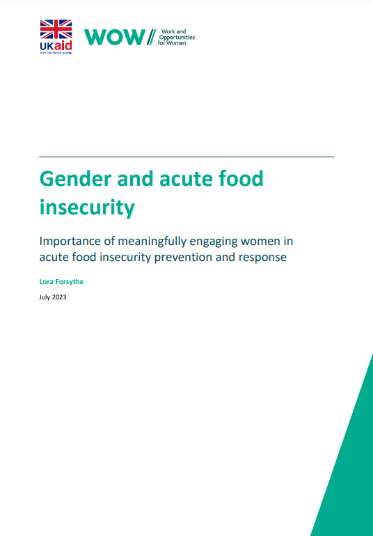 a screenshot of the first page of the resource, showing the title and the work and opportunities for women and ukaid logos.