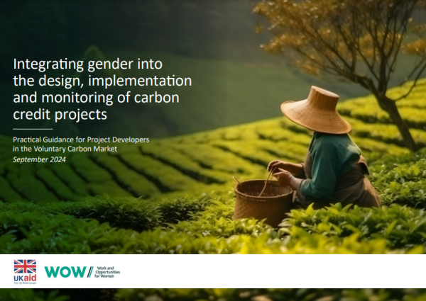 A screenshot of the title page, showing the title, work and opportunities for women and ukaid logos, and an image of a woman working in a plantation.