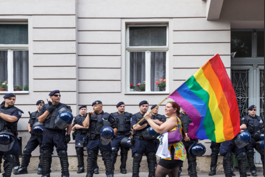 a screenshot of the first page of the resource, showing the title and a photo of a person waving the rainbow flag in front of a line of police.