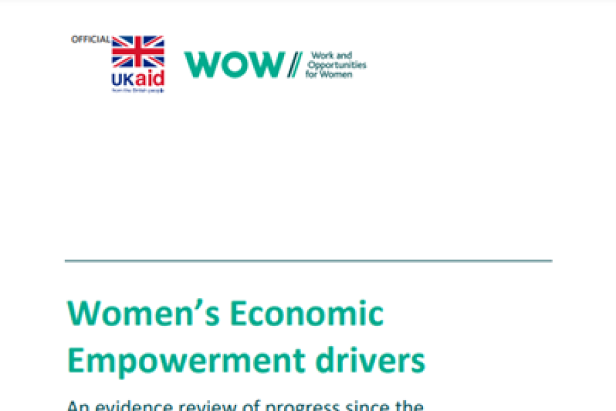 a screenshot of the cover page of the resource showing the title, ukaid logo and work and opportunities for women logos.