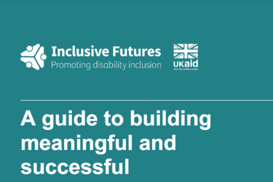 A screenshot showing the first page of the resource, which has the inclusive futures logo, ukaid logo and title.