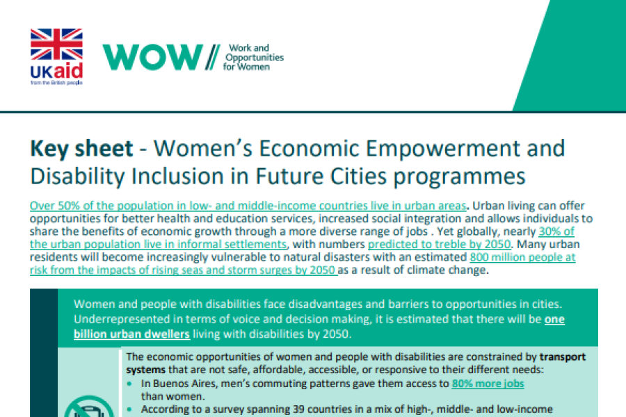 a screenshot of the first page of the resource showing the title, work and opportunities for women logo, ukaid logo and an introduction.