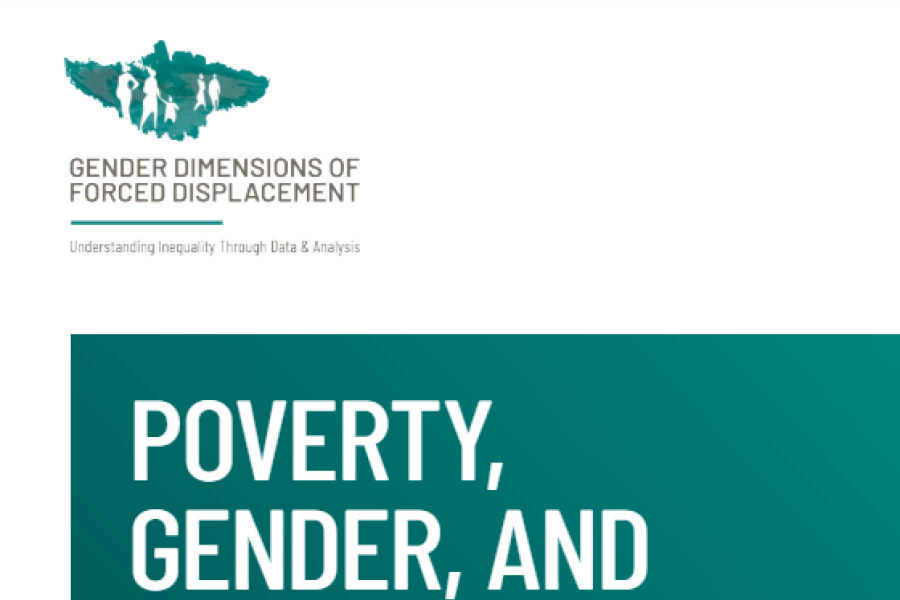 Screenshot showing the first page of the resource, including the Gender dimensions of forced displacement logo, title and authors’ names.  