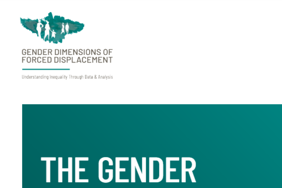 Screenshot showing the first page of the resource, including the Gender dimension of forced displacement logo, author’s name and title.