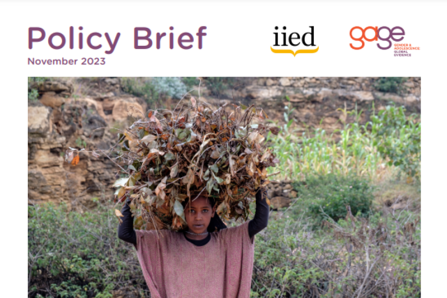 a screenshot of the first page of the resource, showing a photo of a child carrying a large bundle of sticks and leaves on their head, the title and publishers’ logos.