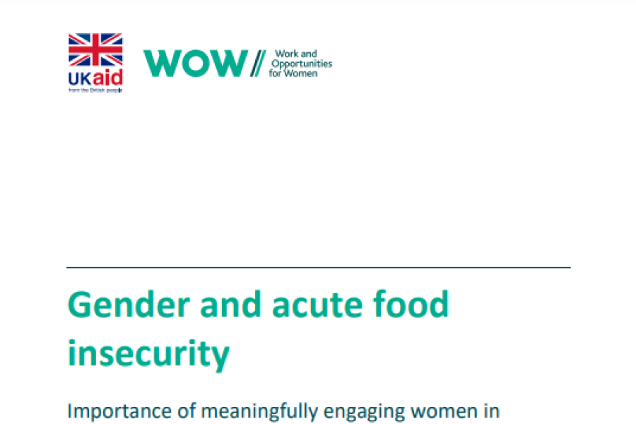 a screenshot of the first page of the resource, showing the title and the work and opportunities for women and ukaid logos.