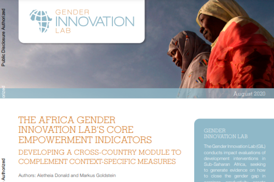 a screenshot of the first page of the resource, showing the title, text, logo of the gender innovation lab and a photo of two women wearing headscarves.