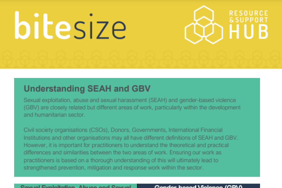 a screenshot of the title page of the tip sheet, followed by executive summary and key definitions, showing the publishers’ and UK Aid logos.