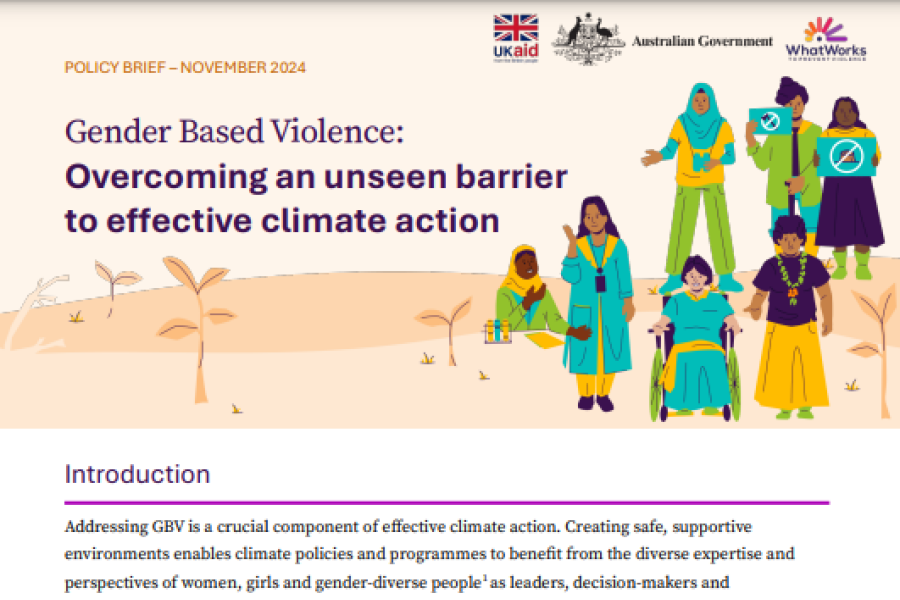 A screenshot of the title page, showing the title, publisher’s logos for ukaid, Australian Government and the What Work’s programme , and an image illustrating  diverse women and girls.