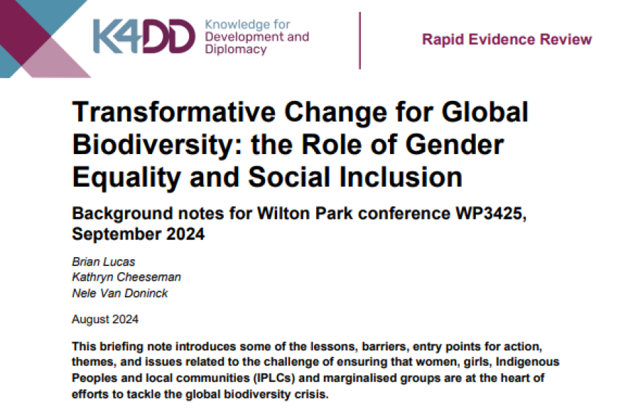 Screenshot showing the first page of the resource, including the title, authors, abstract, contents and the knowledge for development and diplomacy logo
